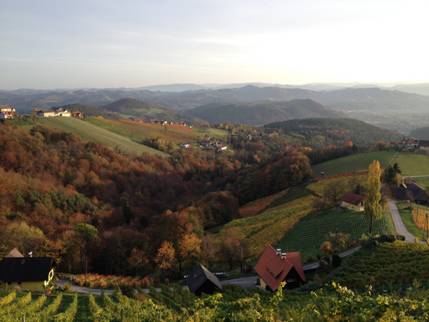 Austrian-Wine-Country