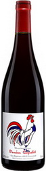 damien-coquelet-vin-de-france-nouveau-gamay-2016