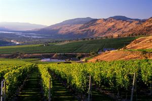 Two spectacular BC wines in my Globe & Mail column