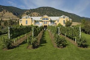 Visit Tinhorn Creek Winery this spring or summer