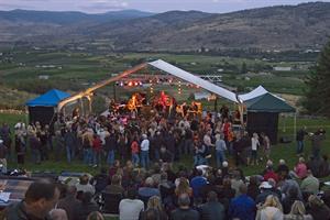 Summer Concerts Amid the Vines