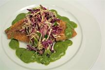 Masa Crusted Rockfish with Cabbage Slaw & Avocado Salsa