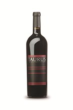 Benjamin Bridge Taurus Marechal Foch 2007