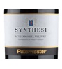 Paternoster Synthesi 2018