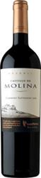 San Pedro Castillo De Molina Cabernet Sauvignon 2007