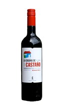 Bodegas Castano La Casona Mona 2011