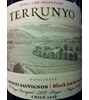 Terrunyo Vineyard Selection Block Las Terrazas, Old Pirque Vineyard Concha Y Toro Cabernet Sauvignon 2009