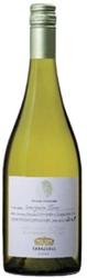 Errazuriz Single Vineyard Sauvignon Blanc 2008