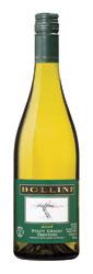 Bollini Pinot Grigio 2008