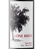 Lone Birch 2016