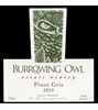 Burrowing Owl Estate Winery Pinot Gris 2010