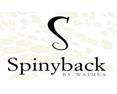 Spinyback By Waimea