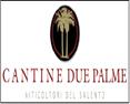 Cantine Due Palme Primitivo 2010