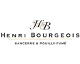 Henri Bourgeois