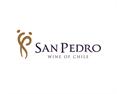 San Pedro 1865 Single Vineyard Carmenere 2010