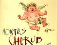 Montes Cherub