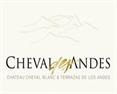 Cheval Des Andes