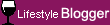Lifestyle blogger