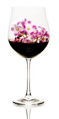 Concept red wine flavours - violet