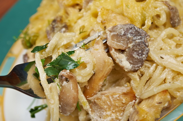 Tetrazzini is an American dish.Spaghetti with chicken, mushrooms and fresh grated parmesan cheese.