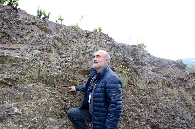DOQ President Salus Alvarez stands proudly by a slate slope in his Priorat vineyard.