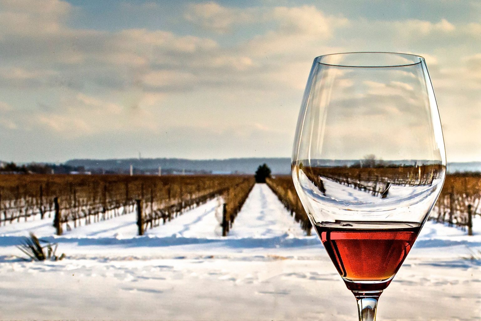Taste the Season at Home with NiagaraontheLake Wineries Natalie