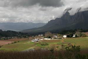 South Africa's Stellar Wines