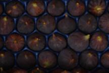 Cider-Braised Chicken With Figs And Caramelized Onions