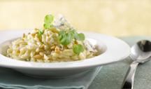 Creamy orzo risotto with Blue cheese and pine nuts