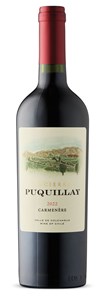 Encierra Puquillay Carmenère 2022