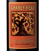 Gnarly Head Old Vine Zinfandel 2007