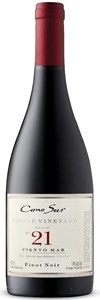 Cono Sur Visión Pinot Noir 2007