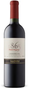 San Pedro 1865 Single Vineyard Carmenère 2008