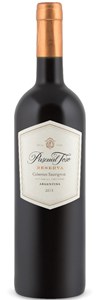 Pascual Toso Reserve Barrancas Vineyards Cabernet Sauvignon 2008