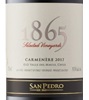 San Pedro 1865 Selected Vineyards Carmenère 2019