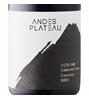 Andes Plateau Cota 500 Concrete Cabernet Franc 2023