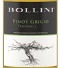 Bollini Pinot Grigio 2023