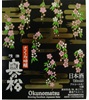 Okunomatsu Sakura Ginjo Sake