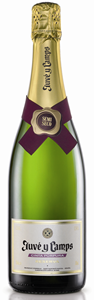 Juvé Y Camps Cinta Purpura Reserva Brut Cava 2009