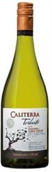 Caliterra Tributo Single Vineyard Chardonnay 2011