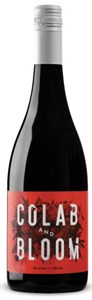 Colab And Bloom Shiraz 2017