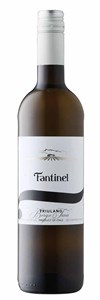 Fantinel Borgo Tesis Friulano 2024