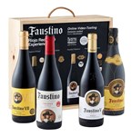 Faustino Rioja Red Wine Experience