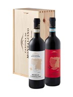 Cantina di Montalcino Rosso Di Montalcino & Brunello Di Montalcino 2024