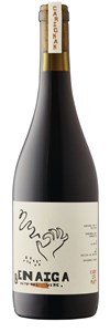 Echeverria Benaiga Natural Wine Carignan 2021