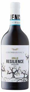 Colomba Bianca Resilience Grillo 2024