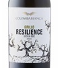 Colomba Bianca Resilience Grillo 2024