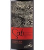 Saó Expressiu 2009