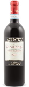 Acinatico Stefano Accordini Valpolicella Ripasso Classico Superiore 2009