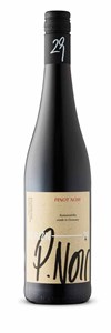 Horizon 29 Pinot Noir 2023